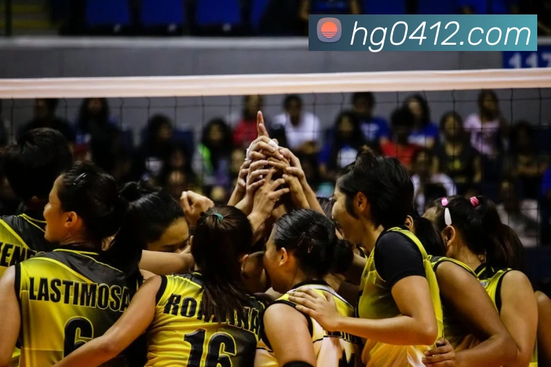 皇冠网官网APP 封面图